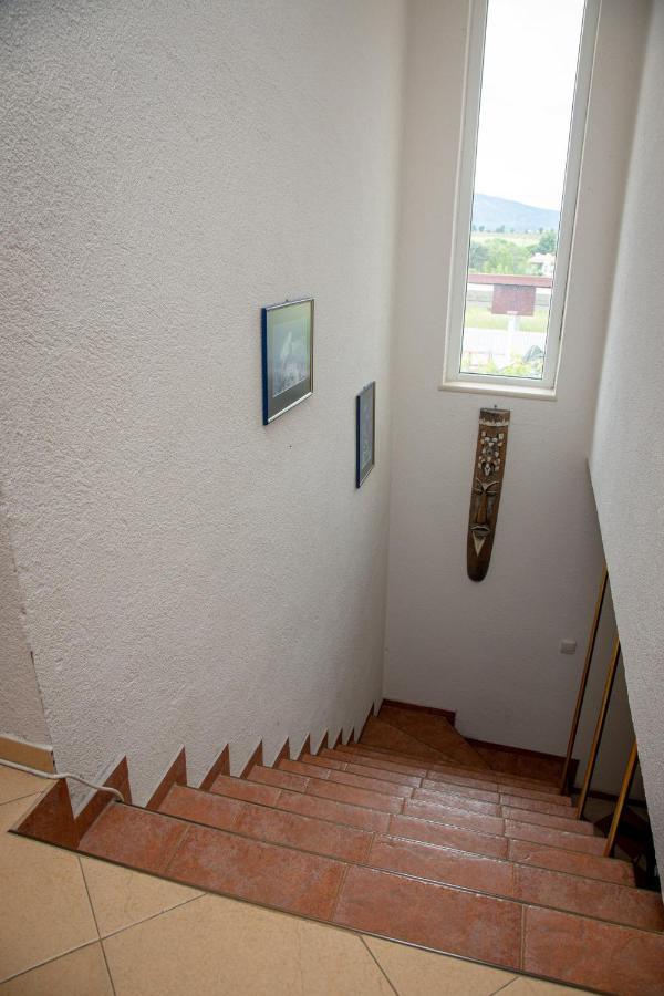 Villa Beni - 4 Bedroom Private House By Flаt Manаger Lozenets Dış mekan fotoğraf